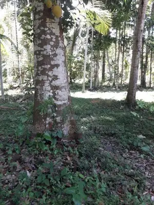 Land for Sale Alawwa, Boyawalana