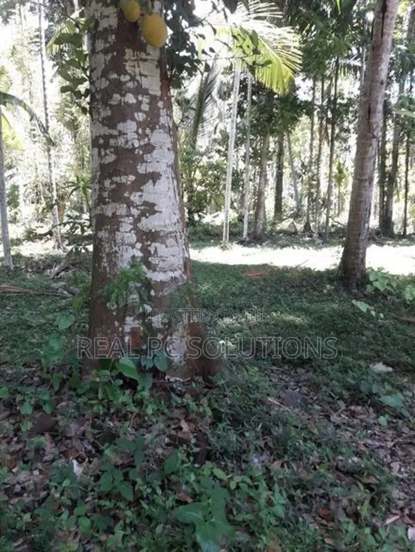 Land for Sale Alawwa, Boyawalana