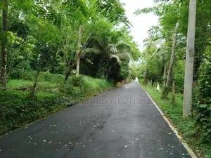 මීගොඩ ආටිගල පලතුරු ගස් සමග බිම් කොටස් විකිණීමට