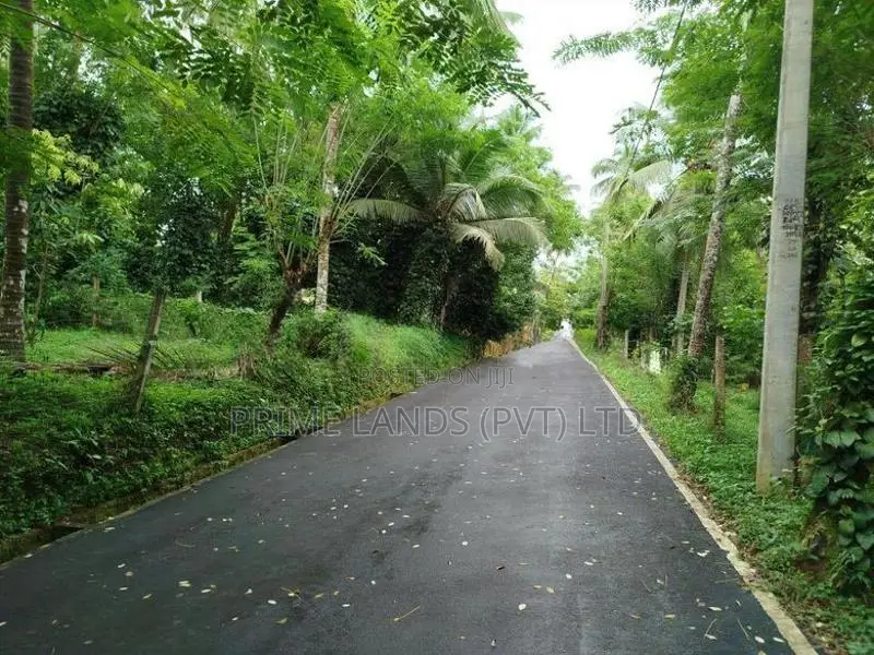 මීගොඩ ආටිගල පලතුරු ගස් සමග බිම් කොටස් විකිණීමට