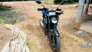 Yamaha FZS V3 2019