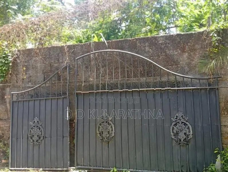 Iron Gates