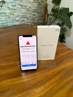 Apple iPhone 12 Pro 256GB (Used)