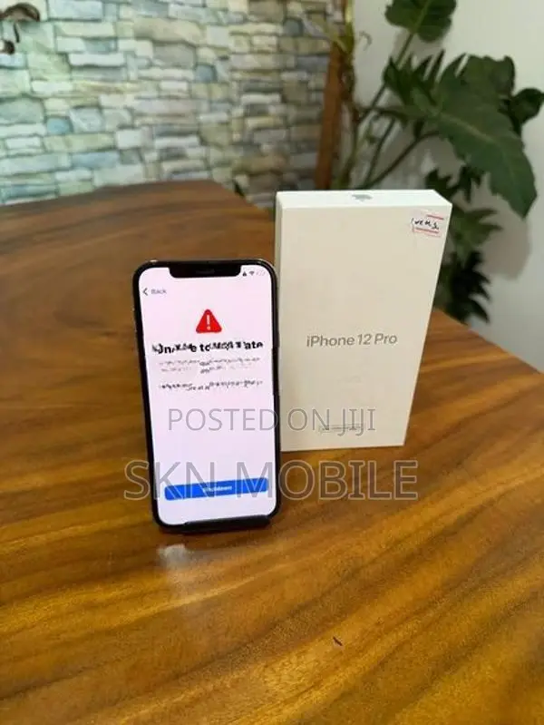 Apple iPhone 12 Pro 256GB (Used)