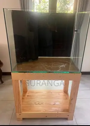 Complete Fish Aquarium Setup