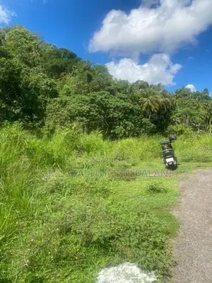 24 Acres Land For Sale Hakmana