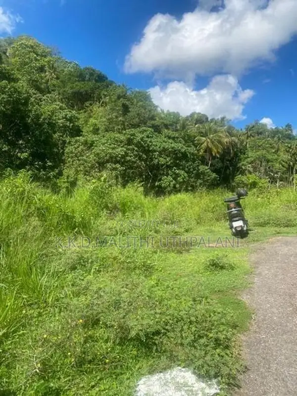 24 Acres Land For Sale Hakmana