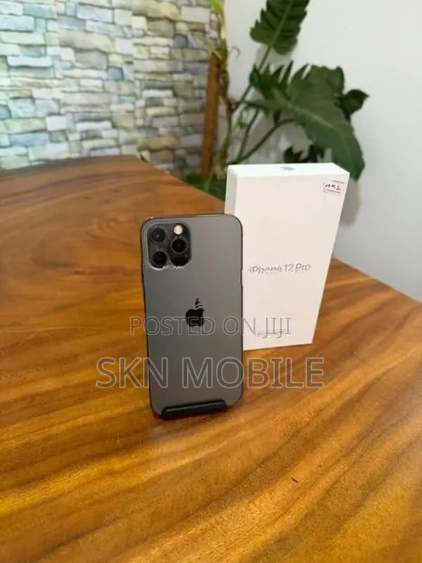 Apple iPhone 12 Pro 256GB (Used)
