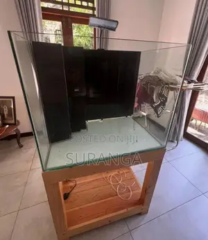 Complete Fish Aquarium Setup