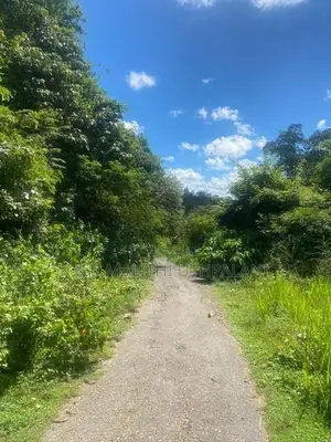 24 Acres Land For Sale Hakmana