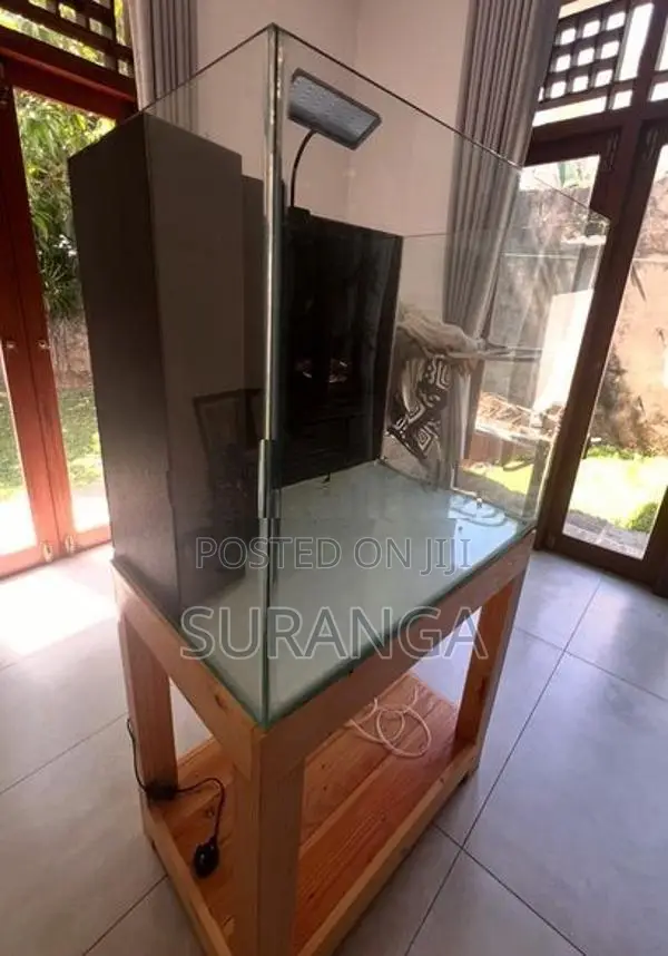 Complete Fish Aquarium Setup