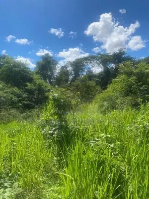 24 Acres Land For Sale Hakmana