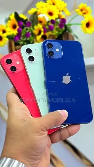 Apple iPhone 12 128GB (Used)