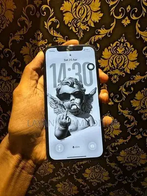 Apple iPhone 12 Pro (Used)