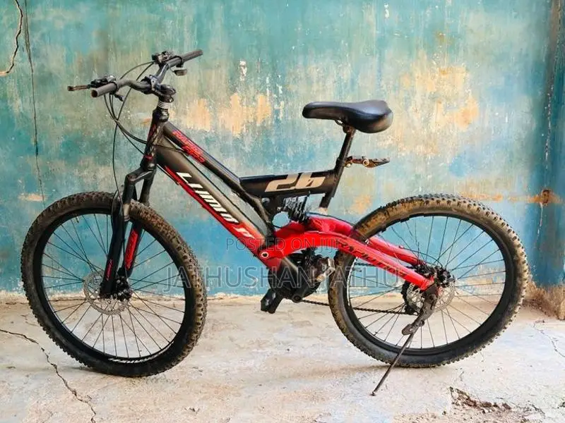 Mountain Bicycle