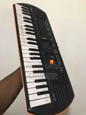 Casio SA-76 44-Key Mini Keyboard