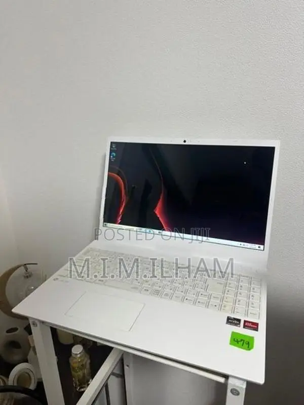 NEC Lavie Laptop