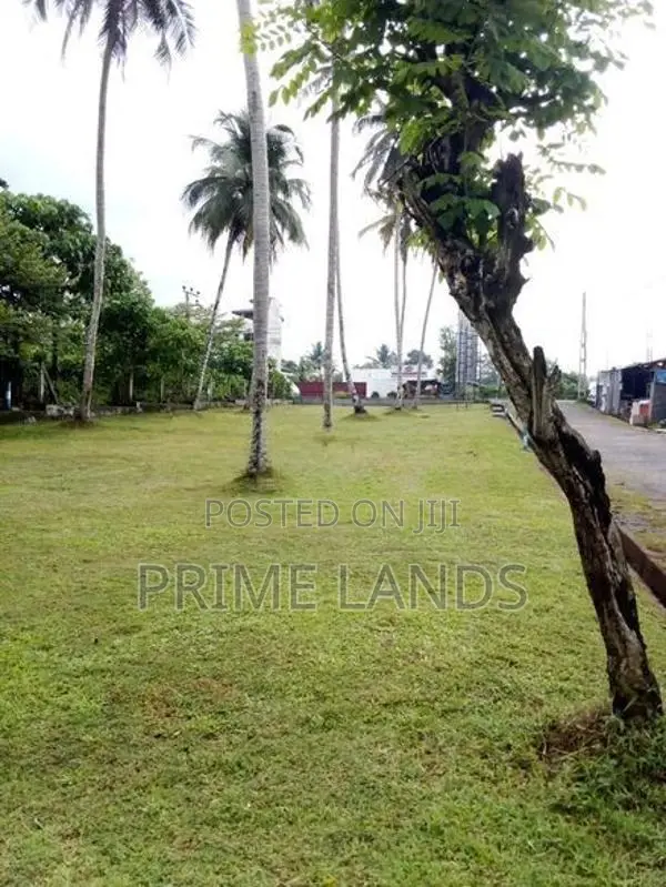 හොරණ නගරයේන් වටිනා ඉඩම්