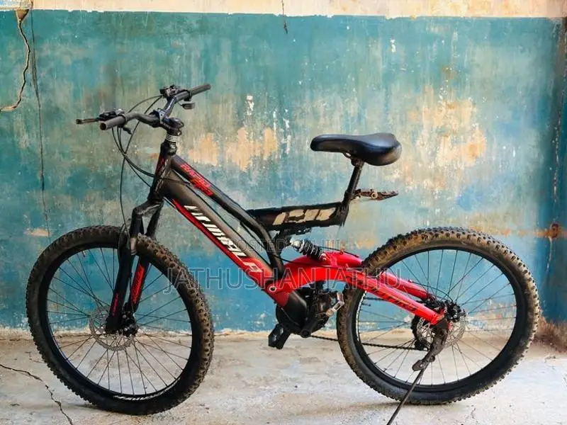 Mountain Bicycle