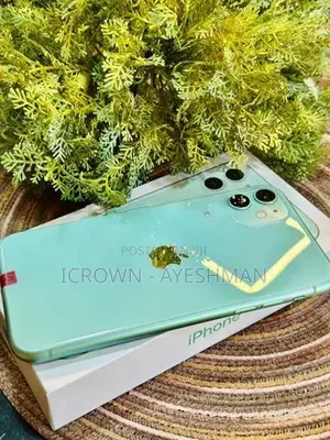 Apple iPhone 11 64GB (Used)