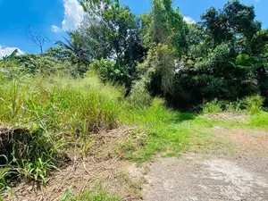Valuable Land for Sale in Thalawathugoda