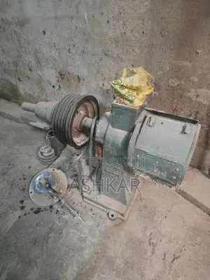 Rice Polisher