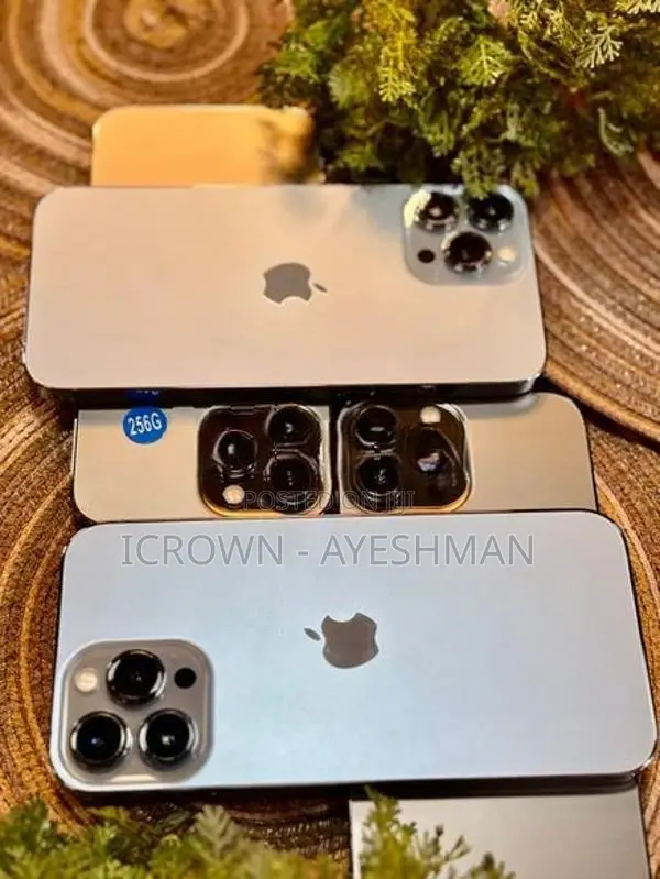 Apple iPhone 13 Pro Max 256GB (Used)