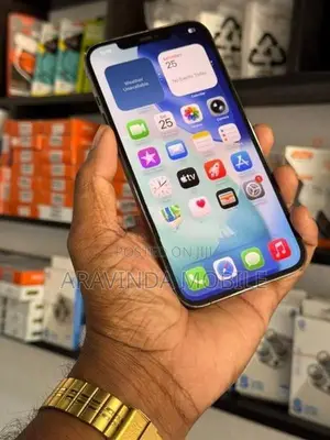 Apple iPhone 12 Pro Max 256GB (Used)