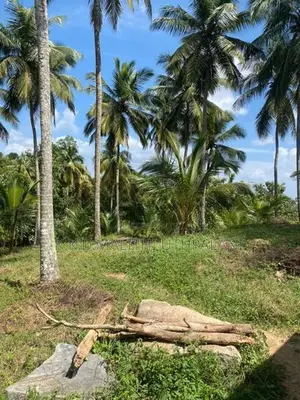 Land For Sale Nadimala Dehiwala
