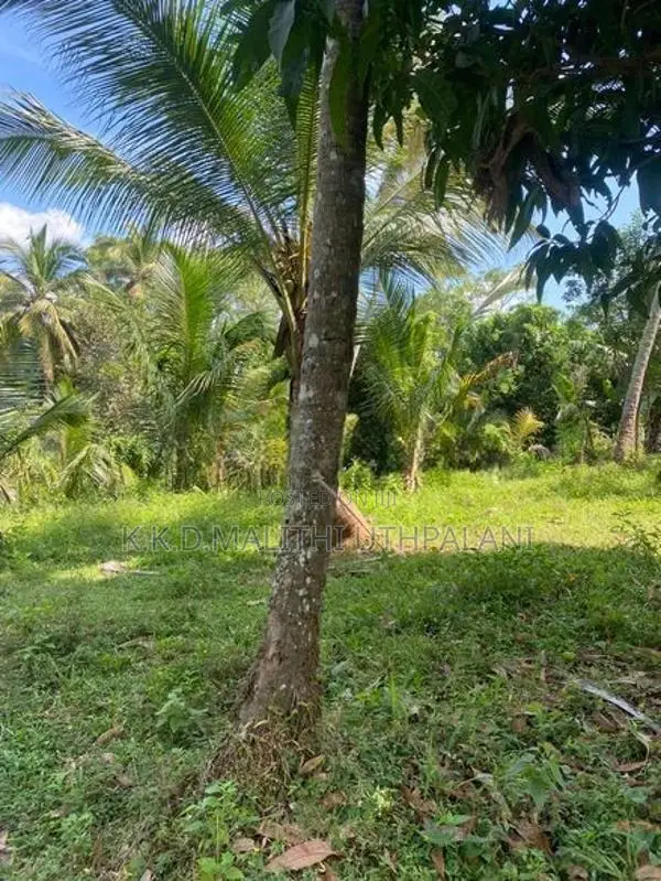 Land For Sale Nadimala Dehiwala