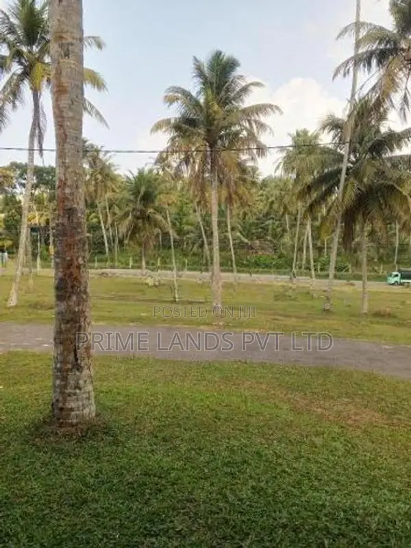 Land for Sale in Kamburugamuwa