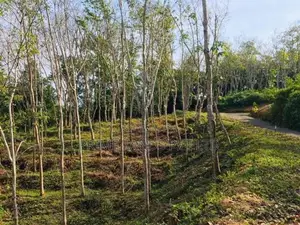 Habaraduwa Lands