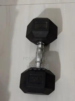 Dumbbell 12.5KG