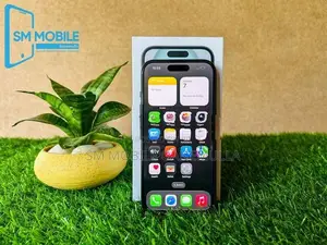 Apple iPhone 15 128GB (Used)