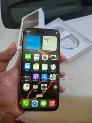 Apple iPhone 16 Pro Max (Used)