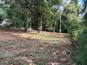 Land for Sale in Wattala