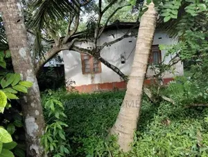 Residential Land with House for Sale Pannipitiya