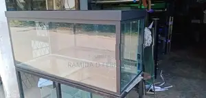 Fish Tank
