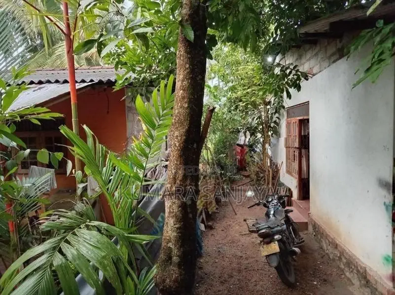 නිවස සහිත ඉඩම විකිණීමට - හංවැල්ල