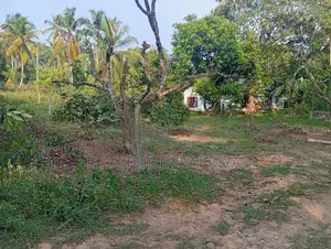 Land for sale Delgoda