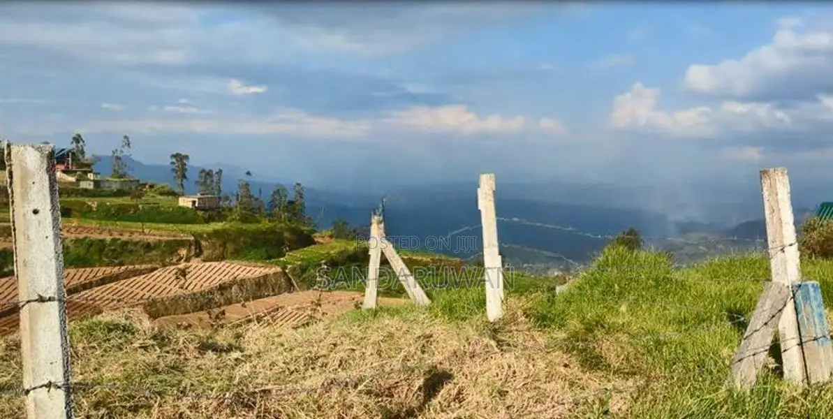 Land for Sale in Ambewela