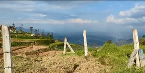 Land for Sale in Ambewela