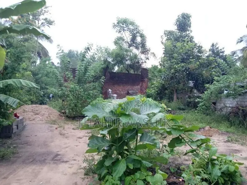 Land for Sale Wellawaya
