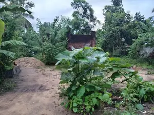 Land for Sale Wellawaya