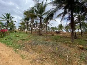 15P High Elevated land at ASP estate Halpe Road, paduka