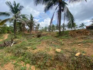 15P High Elevated land at ASP estate Halpe Road, paduka