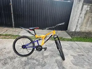 Mountain Bicycle