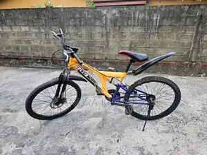 Mountain Bicycle