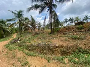 15P High Elevated land at ASP estate Halpe Road, paduka