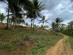 15P High Elevated land at ASP estate Halpe Road, paduka